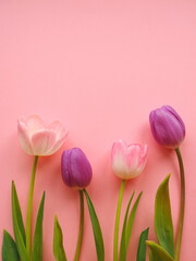 Fototapeta premium Bouquet of tulips on pink background - bright spring concept