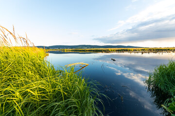 Hiller Torfmoor, Gemeinde Hille, Norddeutschland