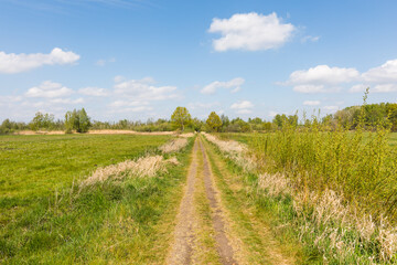 Fototapeta na wymiar Feldweg durch Landschaft mit Wiesen