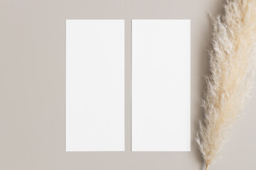 Two menu cards mockup with a pampas grass deocoration, 4x9 ratio.