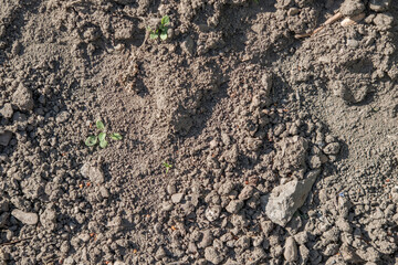 soil plain texture for background