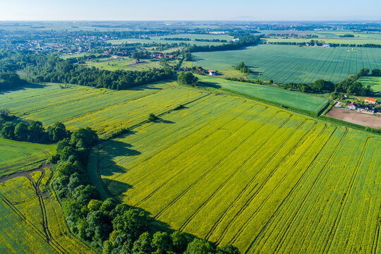 Different shades of green and yellow covering farmland and meadows in a rural landscape from a drone.