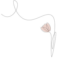 Tulip flower on white background, vector illustration