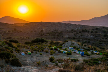 sunrise over the island
Beehive in the fields