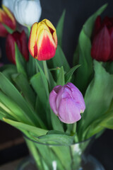 Fresh tulips inside a transparent vase