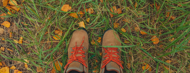 Casual unisex boots with bright laces and colorful autumn fallen leaves. Autumn fall scene. Conceptual image of legs in boots on autumn leaves and grass Lifestyle Top view Copy space