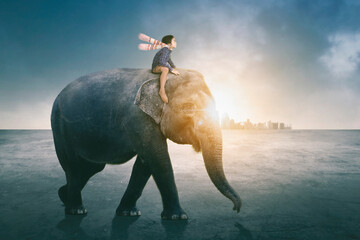 Little boy looks happy while riding elephant