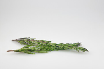Fototapeta premium branch garden rosemary on white background with copy space
