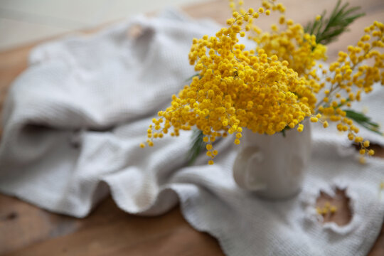 Branch of yellow mimosa on white fabric top view