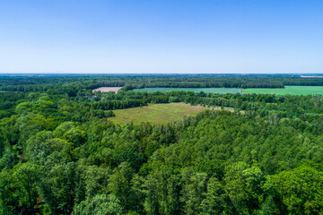 Large green areas. Huge forests and several farmlands surrounded by trees, Sunny day with blue skies.
