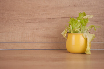 lettuce leaves in a yellow pot on the table