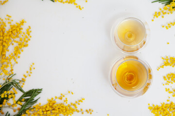 Two glasses with cognac on white background. Near mimosa