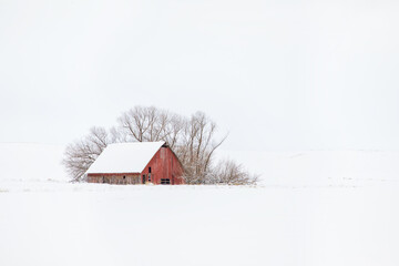 Original winter photograph of an old red barn with barren trees lost in a snowy white background with snow on the ground and a white sky - Powered by Adobe