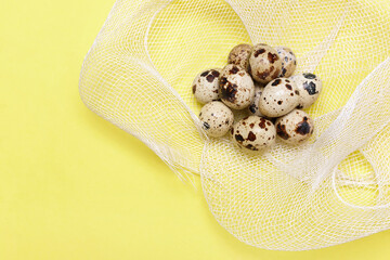 quail eggs on a white grid and yellow background