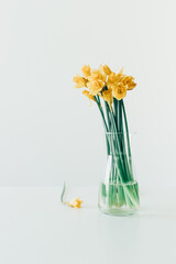 Bouquet of spring flowers in a vase