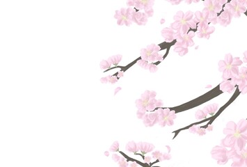 水彩タッチ　桜　枝　背景　和風　素材