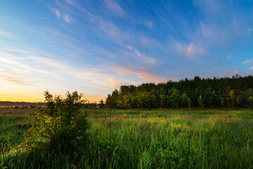 Beautiful summer sunrise in the meadows. Summer background.