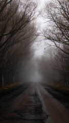 Mystical road. An old asphalt road covered with cracks and patches in the mud with tire marks from cars during heavy fog.