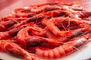 Prawn. Shrimp dish facing right. Species called Red Gamba, Spain. Aristeus antennatus