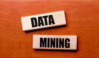 On a wooden table are two wooden blocks with the text DATA MINING