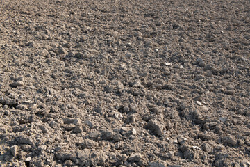farmland 