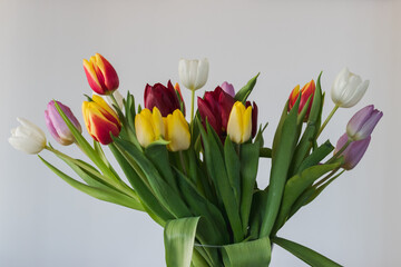 Fresh tulips inside a transparent vase