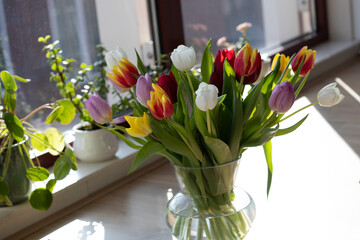 Fresh tulips inside a transparent vase