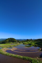 Rice Field in Spring, Japan