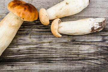 Freshly picked porcini mushrooms on a rustic wooden table. Top view