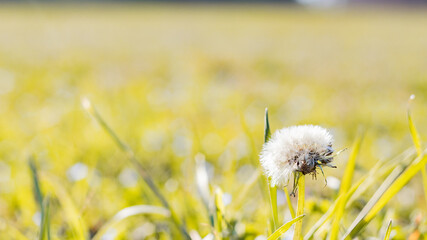 Natura © Rudbi Alonso