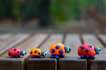 Four ladybugs on a wooden bench.