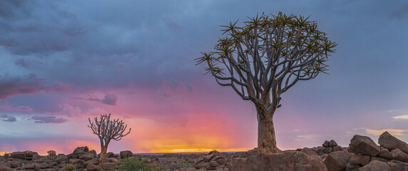 Panoramic view of the Quiver Tree National Park sunset under a stormy sky