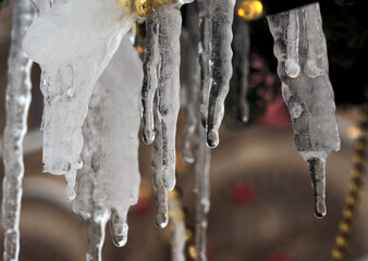 spring drops, melting icicles