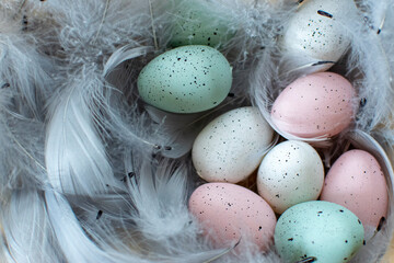 Pastelowe nakrapiane jaja otoczone piórami święta wielkanocne ozdoba wystrój - obrazy, fototapety, plakaty