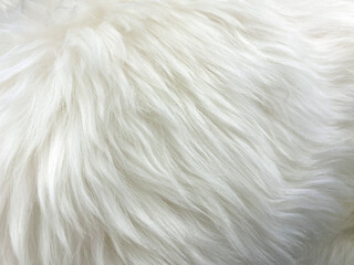 White artificial wool texture, soft fur for textiles. Background, texture