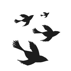 Digital silhouettes of birds. Bird vector illustration. Element for cricut.