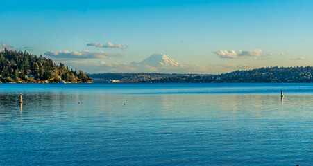 Rainier From Park Landscape 7