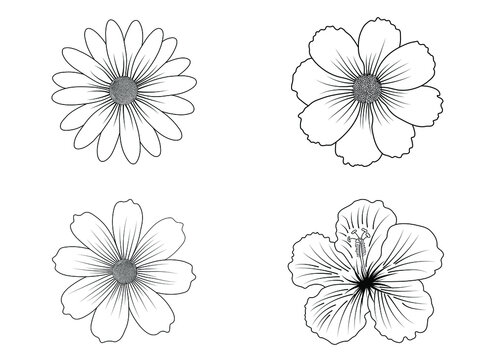 flower line art set vector. Black and white with line art on white backgrounds.