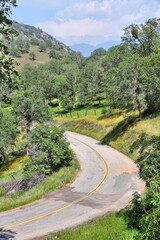 Rural American road - California countryside