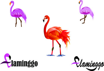 Bundle set Graphic vector georgeous flaminggo bird with different style