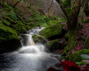 Forest river with waterfall in Wicklow moutains, Ireand.