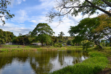 Fototapeta na wymiar lago rodeado de arboles