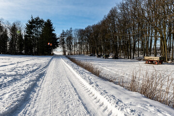 Obraz premium Winter 21