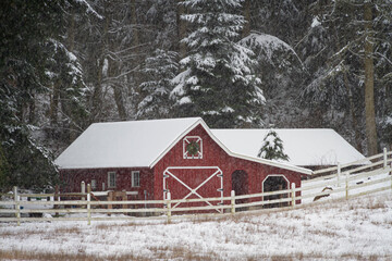 An old red barn in a winter wonderland during a snow storm.