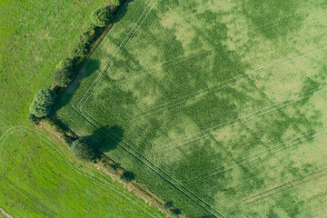 Drohnen Luftaufnahme von diversen Agrarfeldern in Schleswig Holstein
