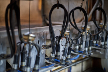 agriculture industry, farming and animal husbandry concept 