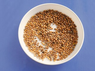 brown,round seeds of Radish vegetable