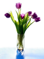 posy of pretty lila tulips close up