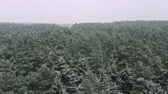 snow storm, Heavy snowfall in front of the forest, winter weather, static camera, aerial view 4K winter forest landscape