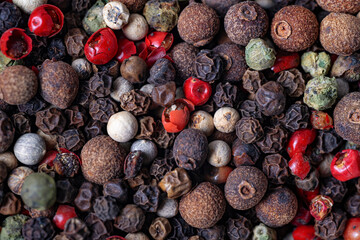 Obraz premium Mixted multi coloured peppercorns close-up. White, black, red, and green peppercorns. Macro photo.